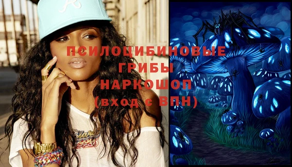 тгк Медвежьегорск