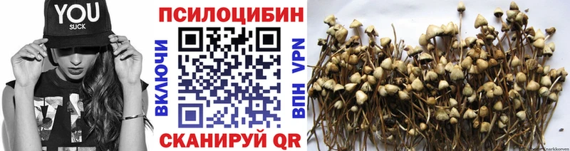 Купить закладки  Серпухов  Псилоцибиновые грибы Cubensis
